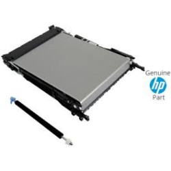 Correia de Transmissão  (Transfer Belt )