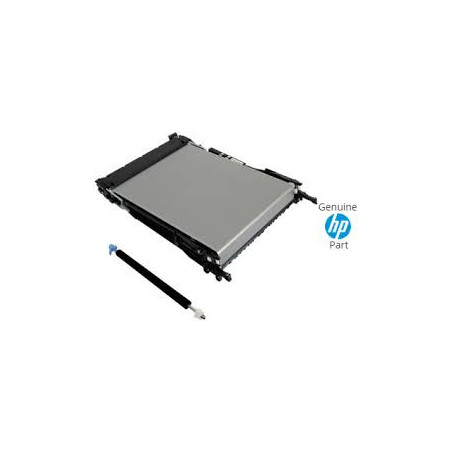 Correia de Transmissão  (Transfer Belt )