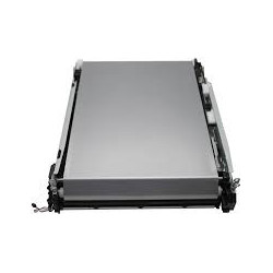 Correia de Transmissão  (Transfer Belt )